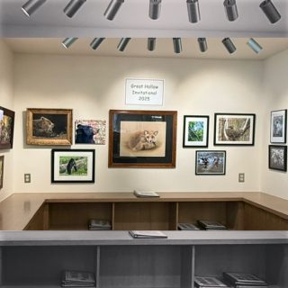 The show is hung and it looks great!  It is a wonderful celebration of Nature! Please join us @theshermanlibraryct for the opening reception tonight 6-8pm. #artshow #localart #art #fineart