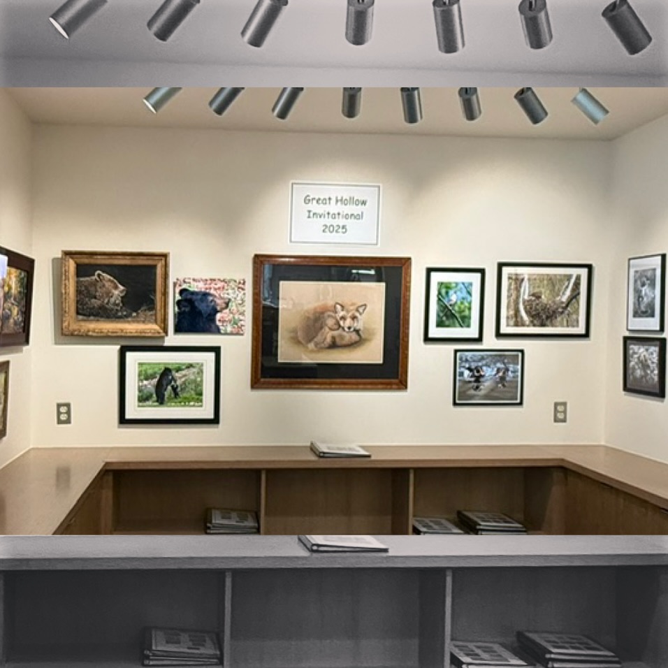 The show is hung and it looks great!  It is a wonderful celebration of Nature! Please join us @theshermanlibraryct for the opening reception tonight 6-8pm. #artshow #localart #art #fineart