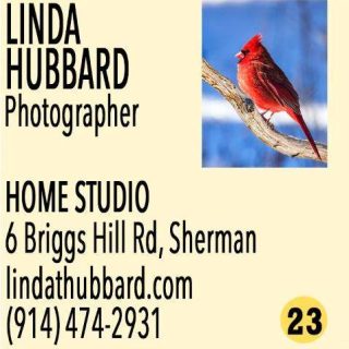 📸 Meet Linda T. Hubbard – The Fine Art Photographer Who Brings Nature to Life 🌿✨

Linda T. Hubbard is a gifted fine art photographer whose camera lens captures the heart and soul of Sherman. As a local resident, Linda’s work is an intimate reflection of the beauty she sees in her everyday surroundings—from the serene lakes and wooded paths to the majestic birds and timeless barns that dot the landscape. Her photographs are more than just images—they are pieces of art that celebrate the natural world and the special charm of the Sherman community and beyond. 🌳🦅

Whether you’re captivated by the quiet beauty of a sunlit path through the woods or the stunning details of a bird's feathers, Linda’s photographs make the perfect gift for anyone who loves this special corner of the world. Her local scenes offer a way to bring the essence of Sherman into your home, keeping the beauty of nature close all year long.

Linda is on the Sherman Artists Association Board, Sherman Commission for the Arts, Art Curator for the Sherman Library and member of the Kent Art Association, Great Hollow Photographers Club & LAND Gallery in Pawling.

This Open Studios Event Dec 6 & 7 from 10am-4pm, visit Linda’s home studio at 6 Briggs Hill Road and discover how her fine art photography brings the landscape of Sherman to life in vivid, breathtaking detail. Don’t miss the chance to own a piece of this beautiful area through Linda’s lens!

To see more of Linda’s work visit, LindaTHubbard.com
🗺️ Plan Your Tour!
Maps and printed Open Studio brochures are available at:
American Pie, The Daily Market, Limoncello, Sherman Library, and Sherman Wine & Spirits,
and on our website at ShermanArtists.org.
#ShermanArtists #OpenStudios #HolidayGifts #SupportLocalArt #ArtInSherman #ShopLocal #Raffle #ShermanCT #ArtEvent  #Photography #NaturePhotographer