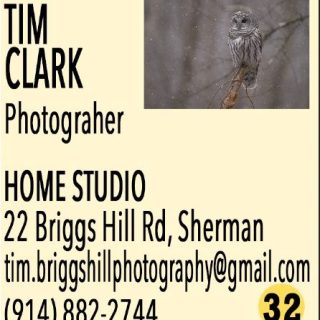 📸 Meet Tim Clark – The Photographer Who Captures Wildlife and Life in Every Moment 🌿✨
📍 Exhibiting at Home Studio, 22 Briggs Hill Rd
🗓 December 6 & 7, 10am–4pm

Tim Clark is a wildlife and street portrait photographer based in Sherman, Connecticut, whose work reflects a lifelong passion for the natural world. Inspired by adventures with his grandfather in the Great Smoky Mountains of North Carolina, Tim developed a deep love and respect for all things wild—a love that continues to guide his photography today. 🦌📷

Tim’s wildlife photography captures the beauty, vitality, and character of animals in their natural habitats, while his street portraits reveal the stories and expressions of everyday life. Each image reflects his keen eye, patience, and empathy, allowing viewers to connect with both the wilderness and the human spirit.

Visit Tim at his home studio at 22 Briggs Hill Rd during the Sherman Artists Open Studios Event on Dec 6 & 7 from 10am–4pm to see his stunning photographs and experience the world through his lens.

🗺️ Plan Your Tour!
Maps and printed Open Studio brochures are available at:
American Pie, The Daily Market, Limoncello, Sherman Library, and Sherman Wine & Spirits, and online at ShermanArtists.org.
#ShermanArtists #OpenStudios #HolidayGifts #SupportLocalArt #ArtInSherman #ShopLocal #Raffle #ShermanCT #ArtEvent
